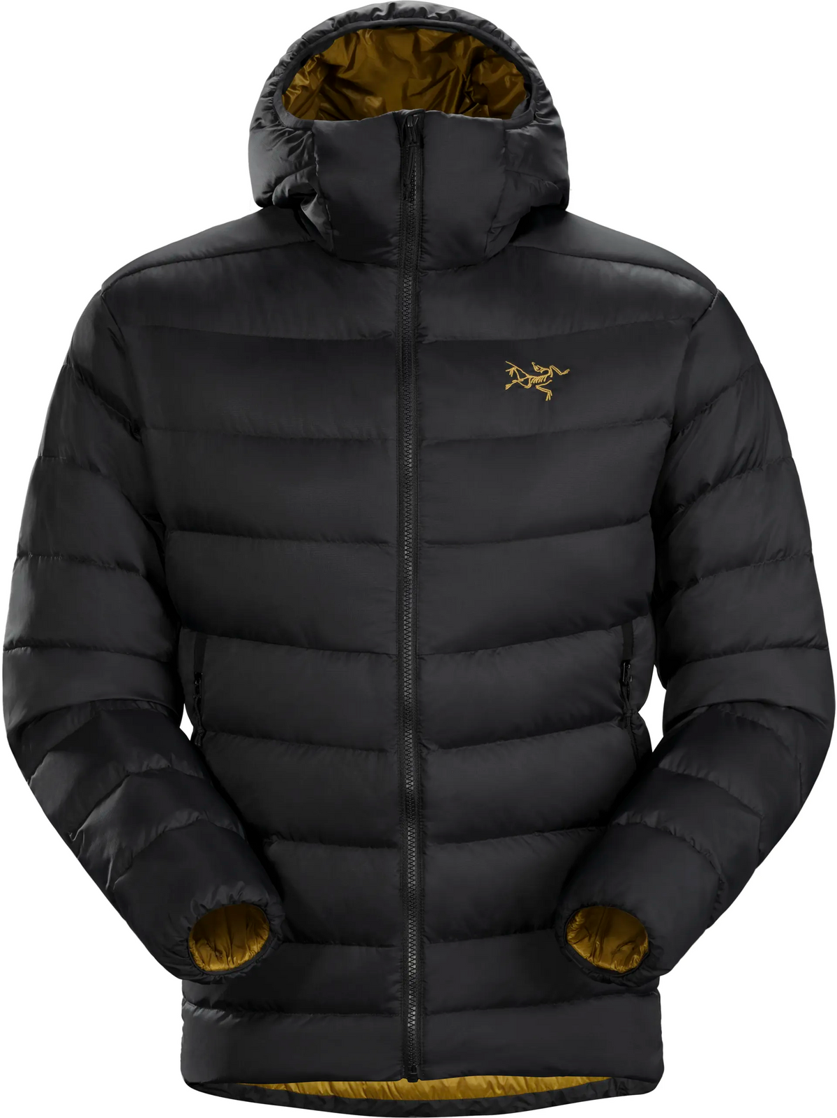 Arc’teryx Thorium Heavyweight Hoody — Black Man Clothing