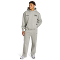 Stüssy Basic Hoodie - Ash Grey Men Hoodies
