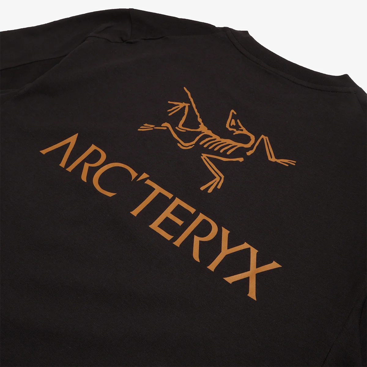 Arc’teryx Archaeopteryx Logo T-Shirt -Black Mens T-Shirt