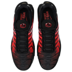 Chaussures pour homme Nike Air Max Plus TN OG